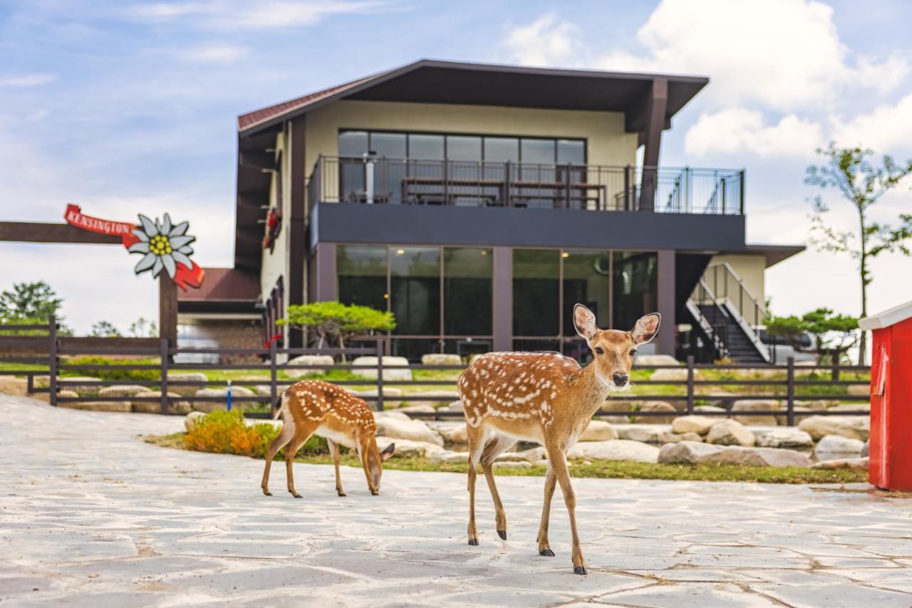 Kensington Resort Seorak Valley Sokcho Exterior foto